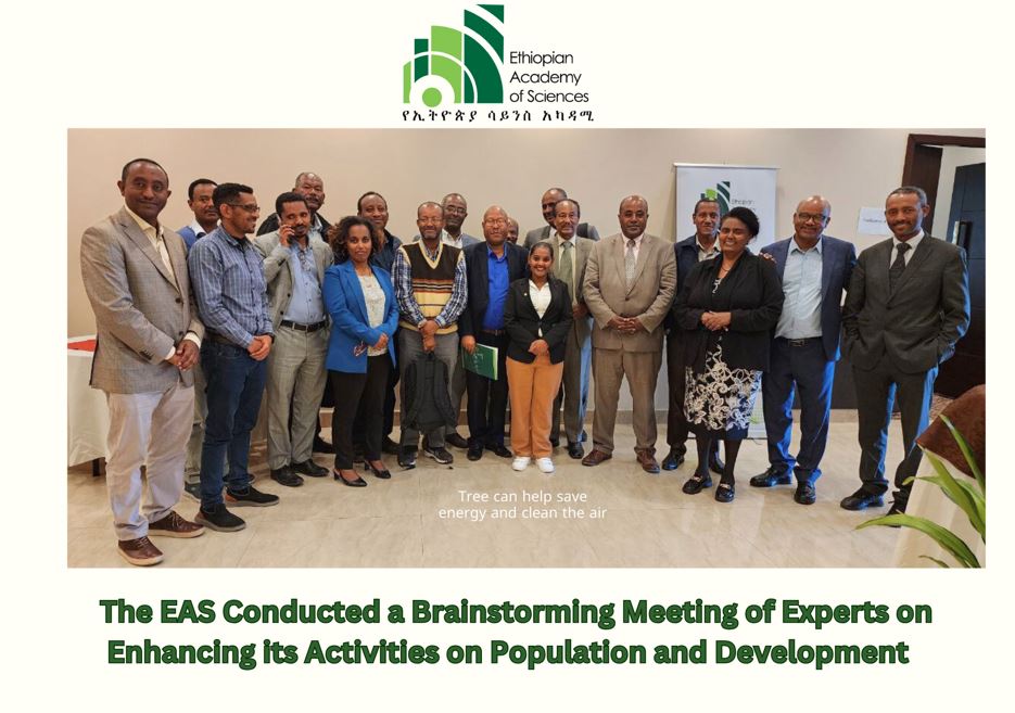 The EAS Conducted a Brainstorming Meeting of Experts on Enhancing its Activities on Population and Development